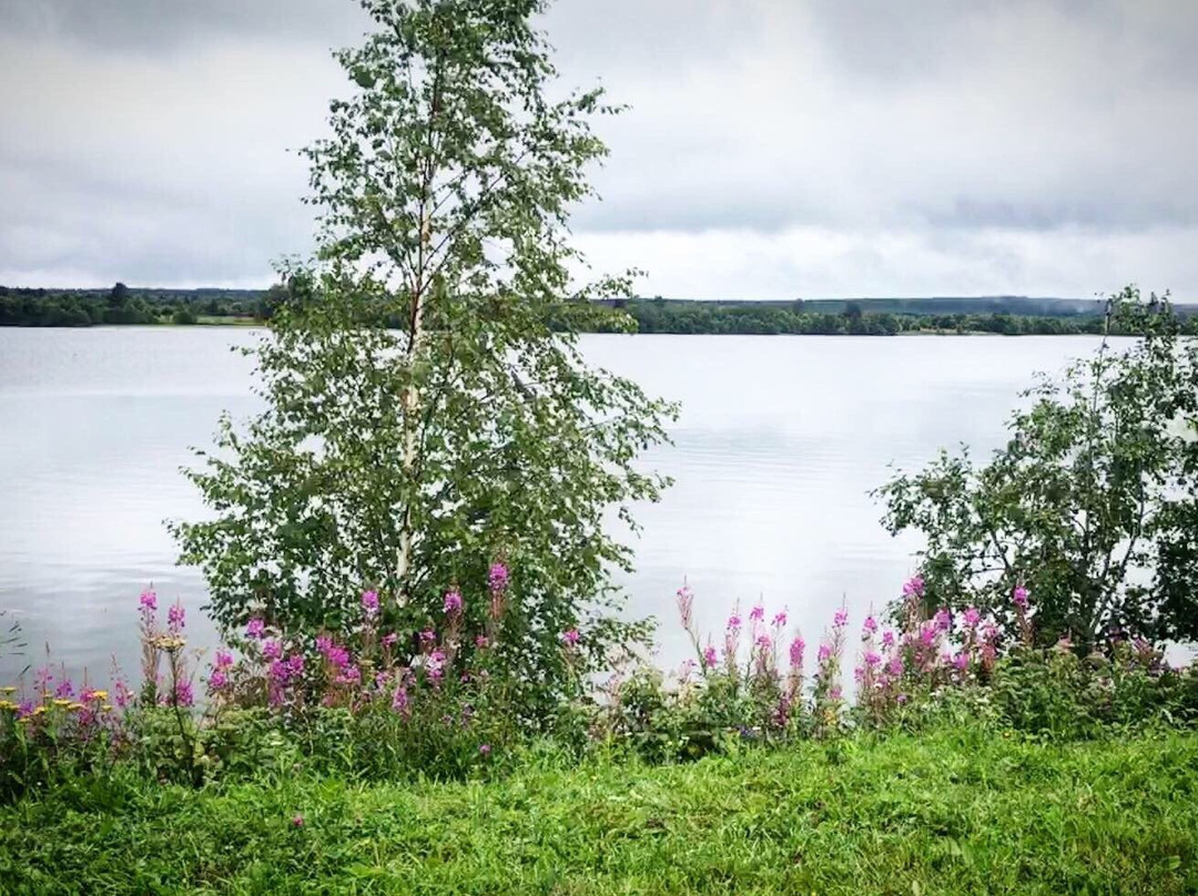 Karelian Farmhouse Open Air Museum景点图片