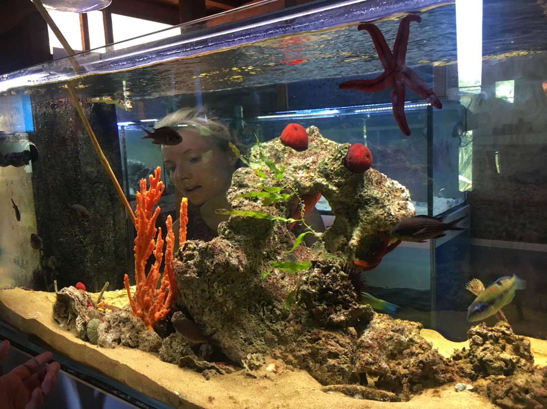 Aquarium-Isola di Capo Rizzuto必去景点