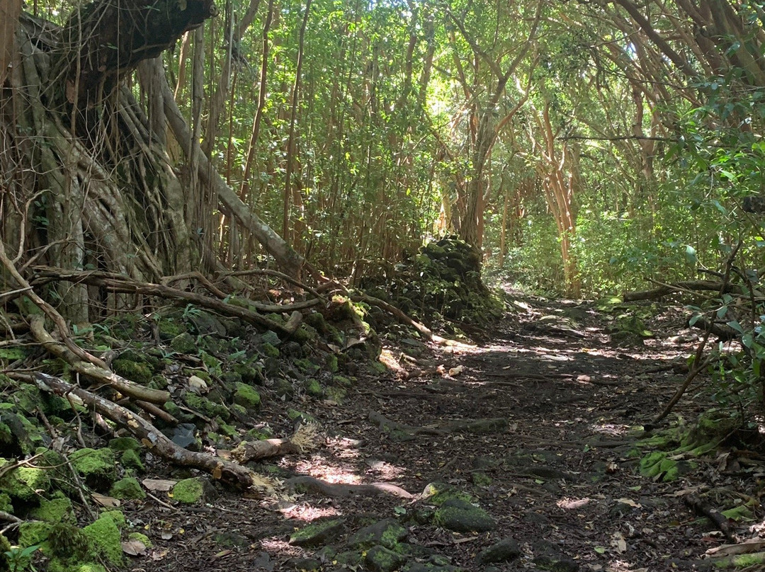 Haena Beach Trail-可亚奥必去景点
