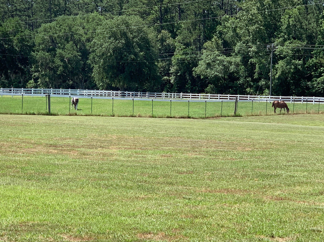 Cat Head Creek RV Park