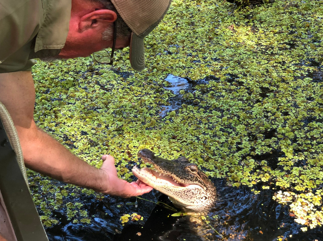 Atchafalaya Basin Landing & Airboat Swamp Tours景点图片