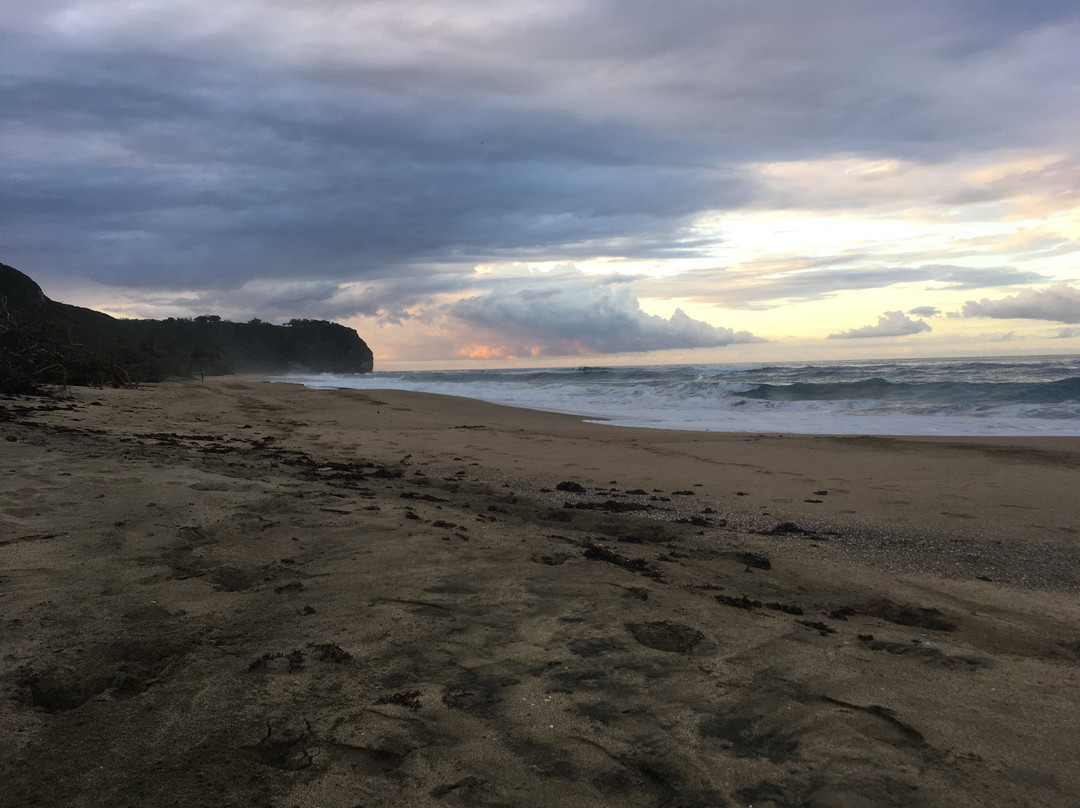 Playa El Pastillo-Isabela必去景点