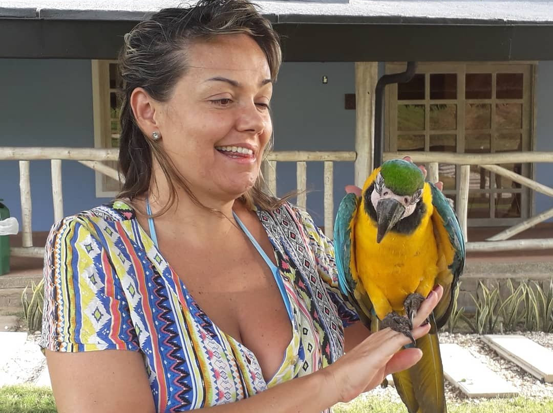 San Pablo Top Rural主图