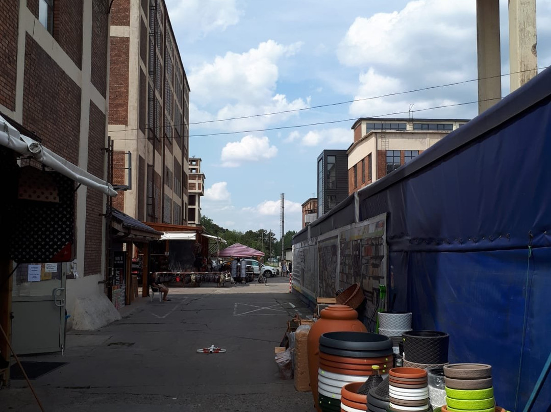 Polenmarkt Hohenwutzen景点图片
