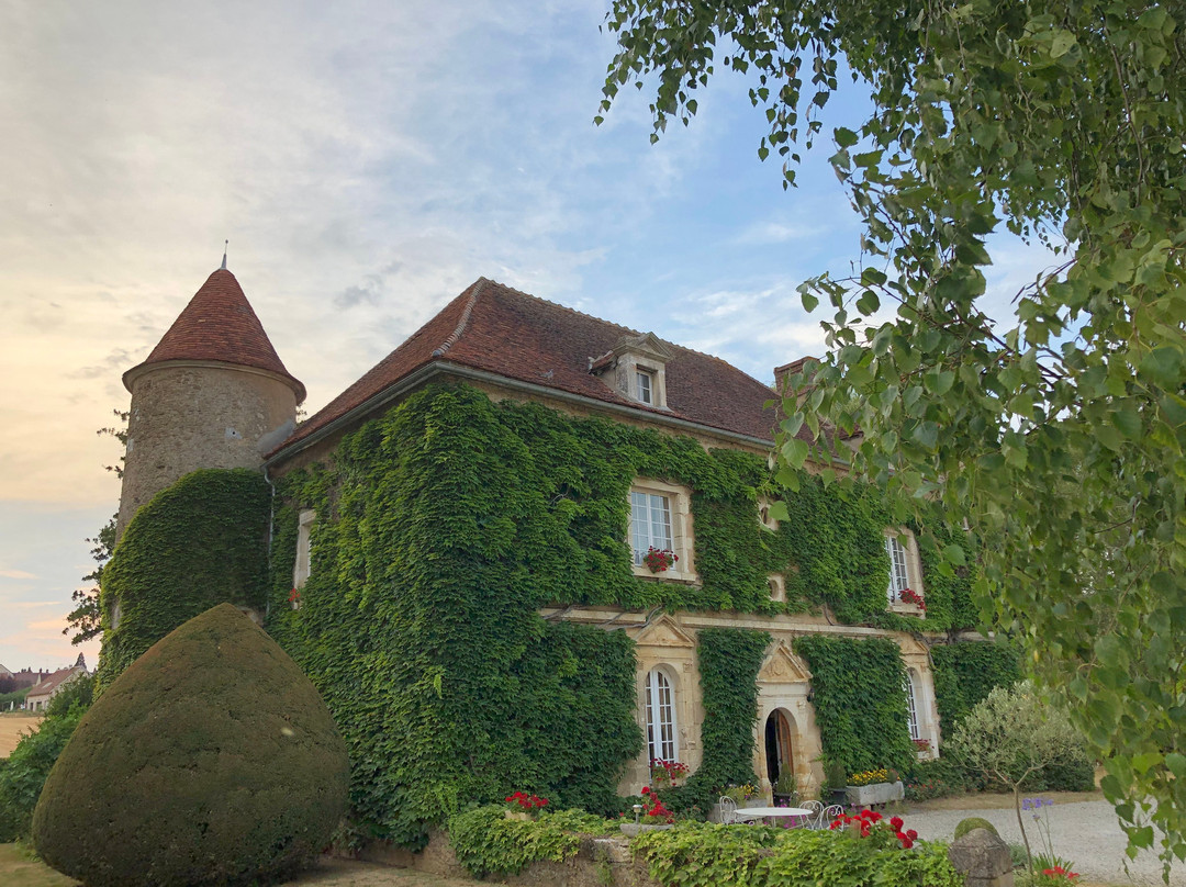 Château De Ribourdin主图