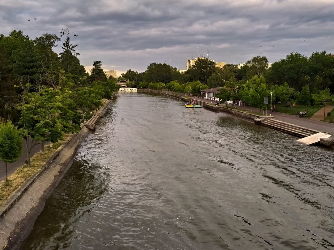 Bega River景点图片