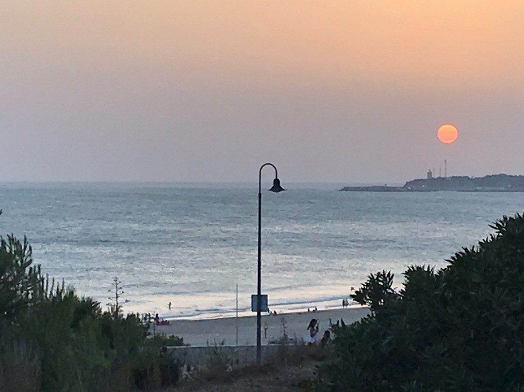 Parque de La Atalaya景点图片
