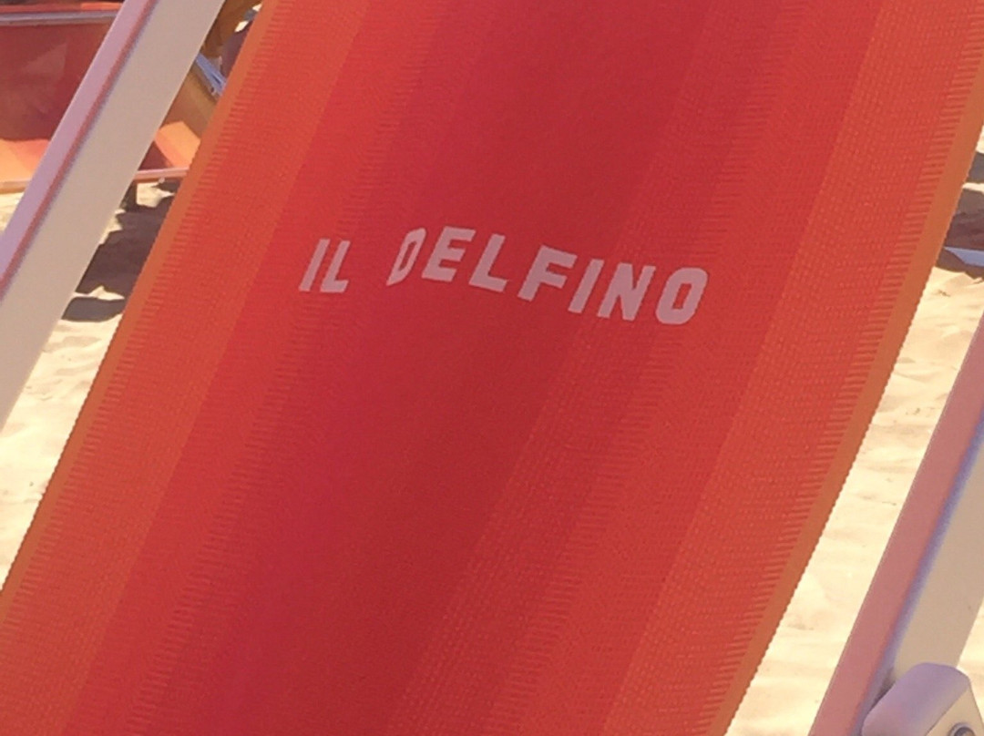 Lido Il Delfino景点图片