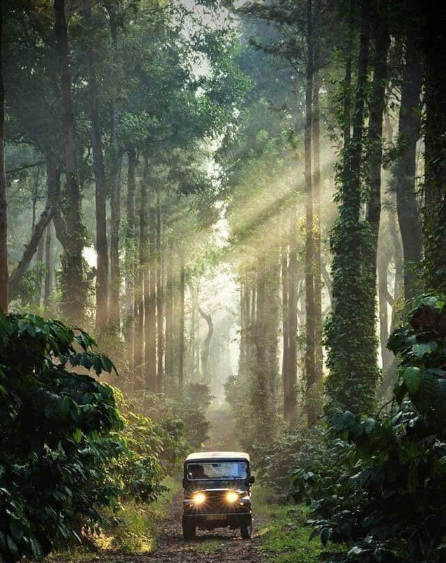 Dandeli Rangers Camp主图