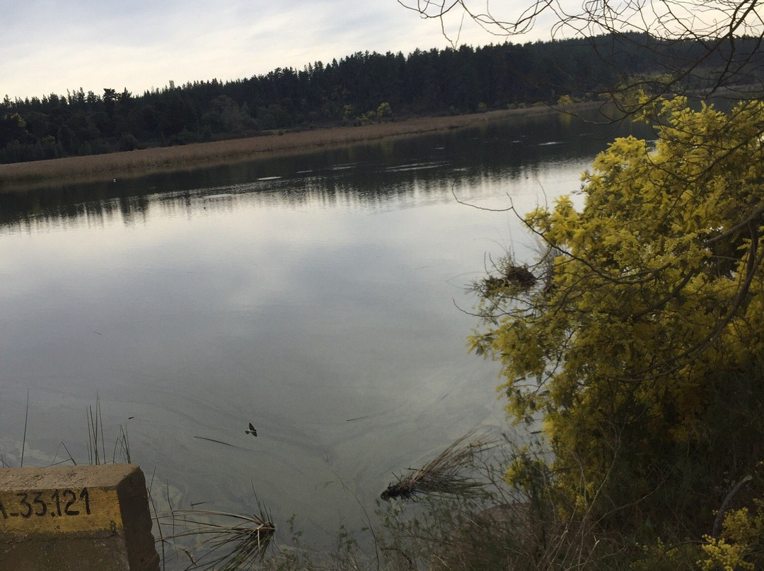 Reserva Nacional Laguna Torca-Llico必去景点
