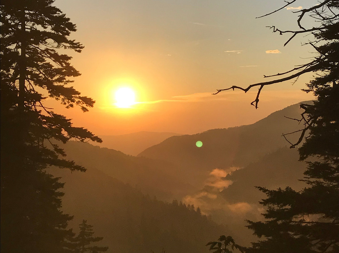 Newfound Gap Road-大雾山国家公园必去景点