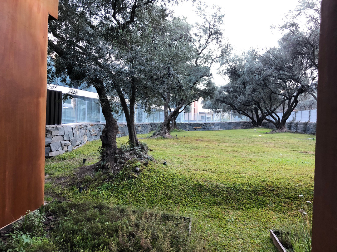 Epic Hotel Villa de Merlo主图