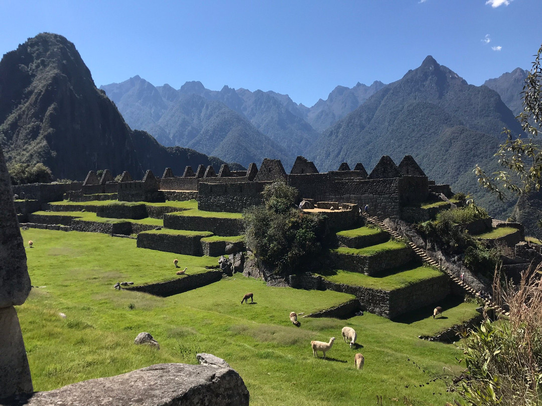 Jardin Botanico en Machu Pichu-马丘比丘必去景点