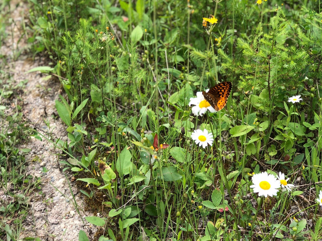 Manitou Falls-Manitouwadge必去景点