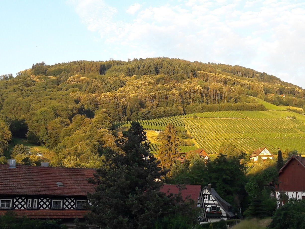 Naturhotel Holzwurm-酒店景观