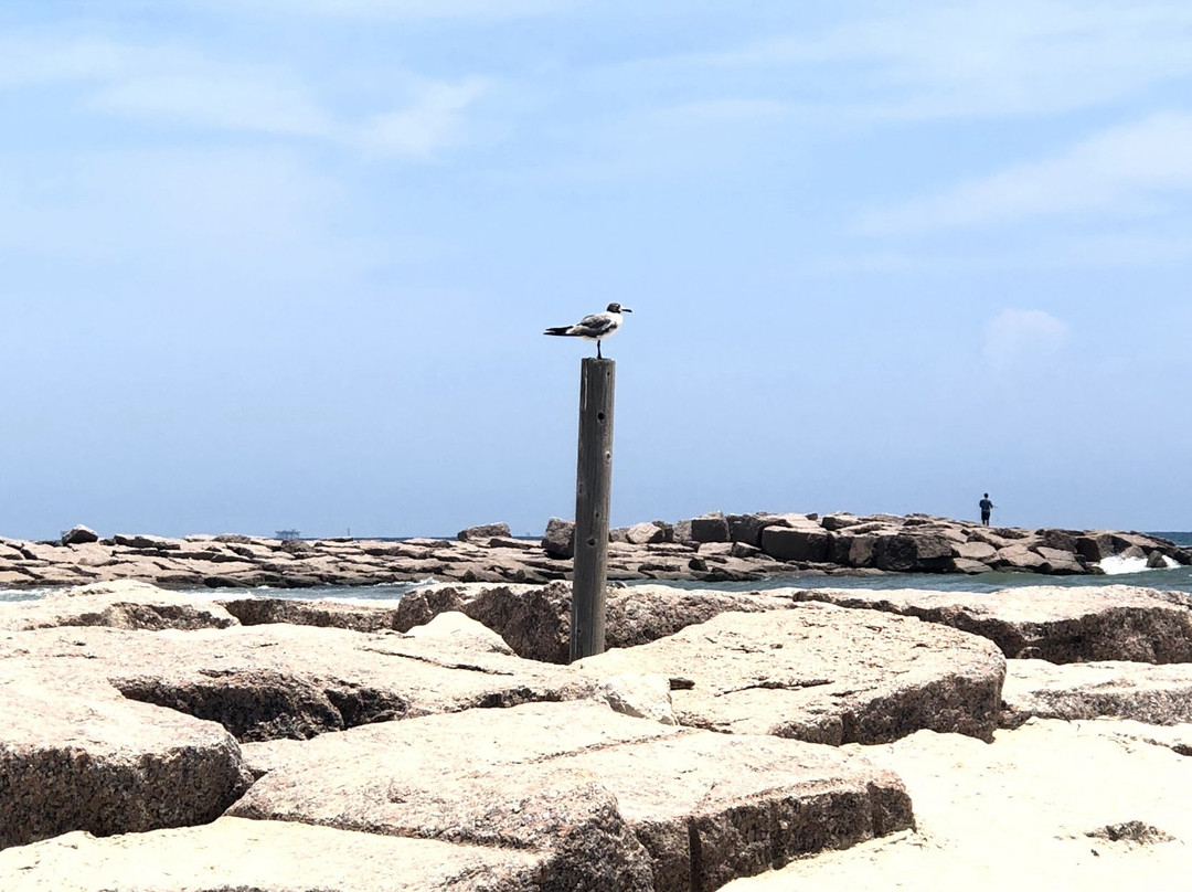 Mustang Island State Park景点图片