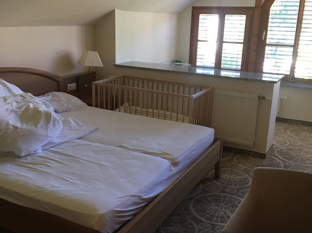 Boutique Hotel Erla主图