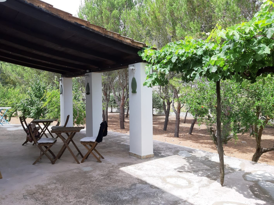 La Vecchia Tabaccheria B&B主图