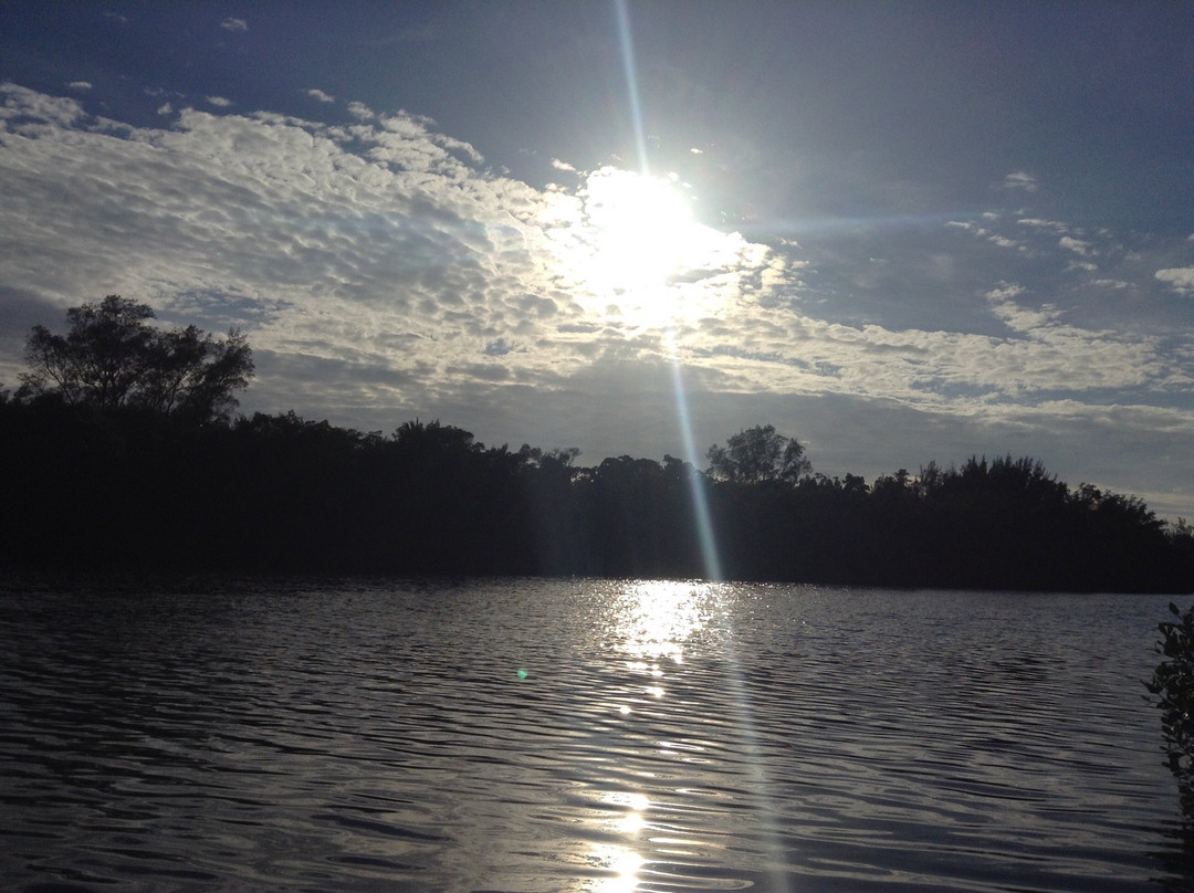 Siesta Key Bungalows主图