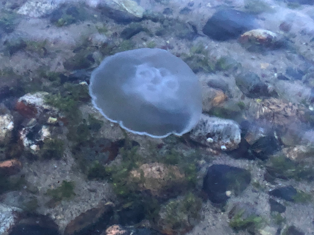 At The Shore B&B主图