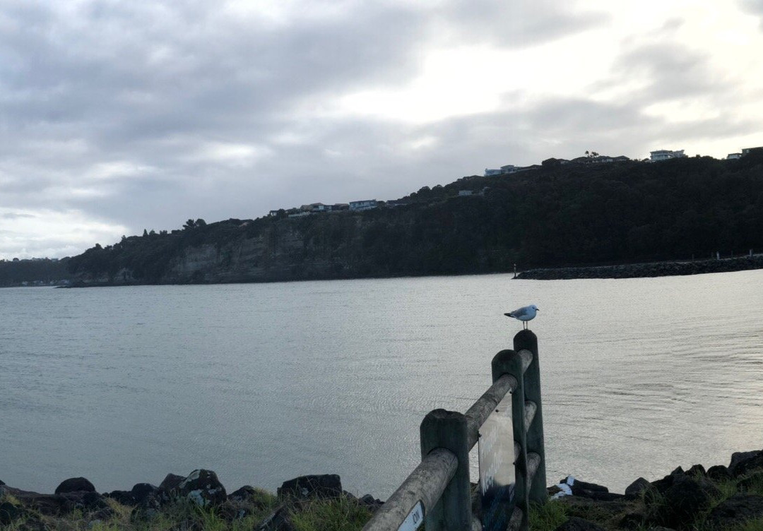 Gulf Harbour Marina-旺阿帕劳阿必去景点