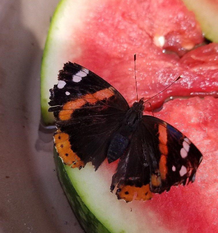 Creekside Gardens-Tunkhannock必去景点