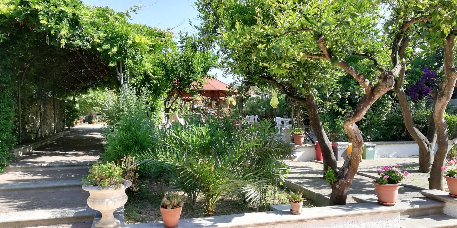 Residenza Villa I Nidi-酒店景观