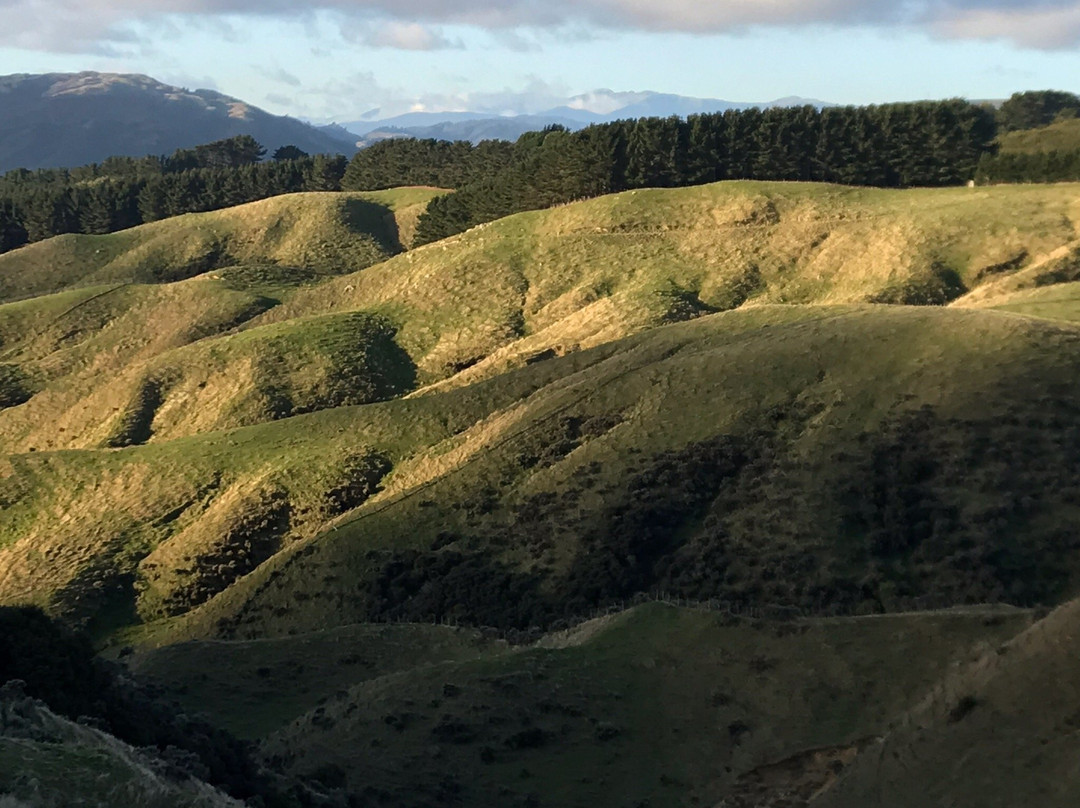 Belmont Regional Park-惠灵顿必去景点