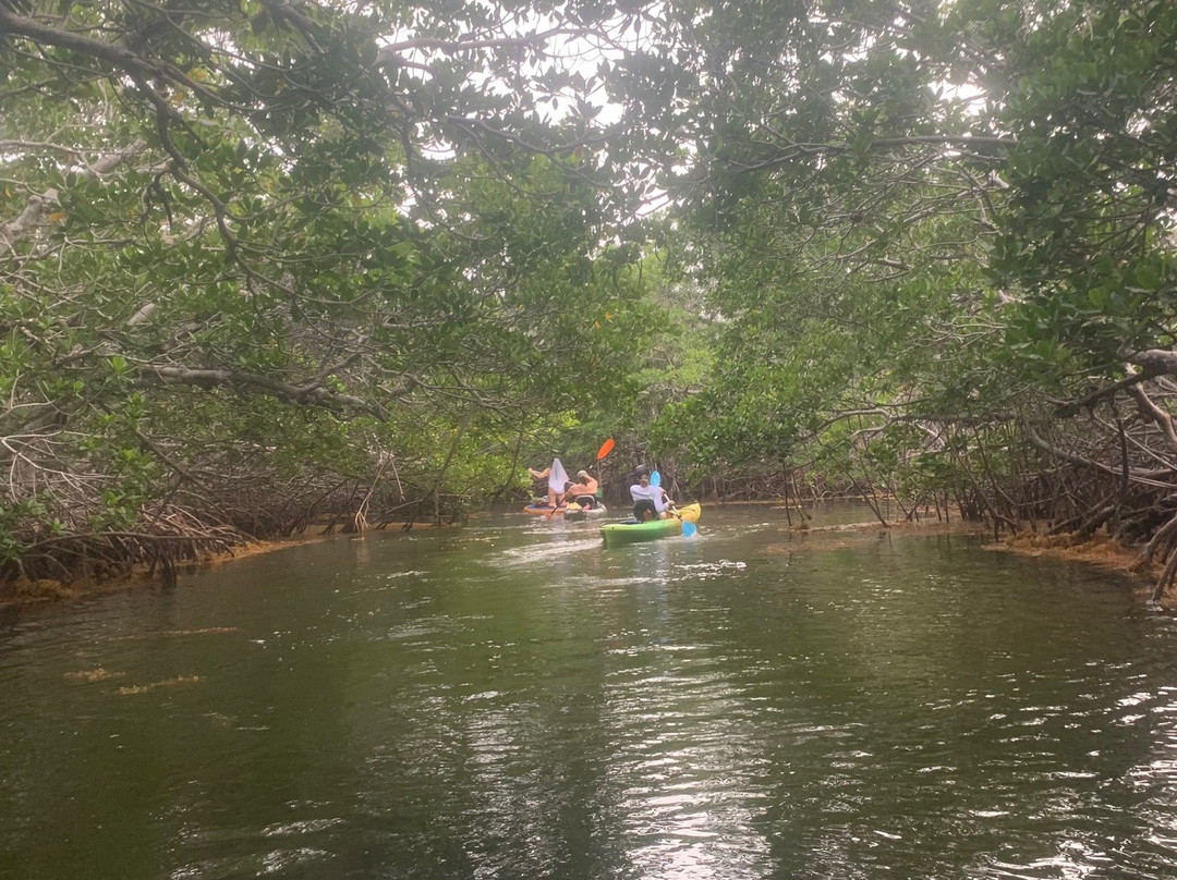 The Kayak Shack-伊斯拉摩拉达必去景点