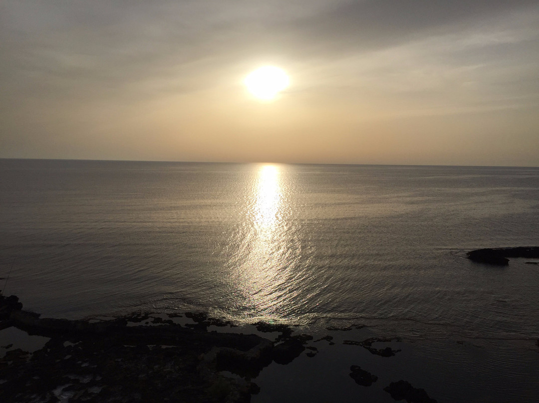 Arkin Palm Beach Hotel主图