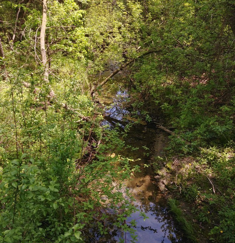 Brueckner Rhododendron Gardens-米西索加必去景点