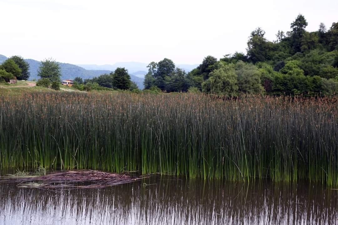 Tsover lake-Dsegh必去景点