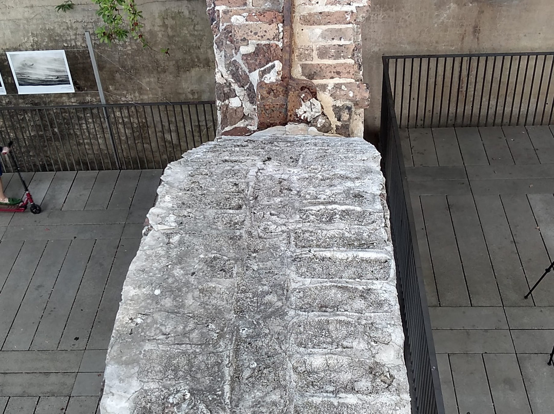 帕丁顿水库花园-悉尼必去景点