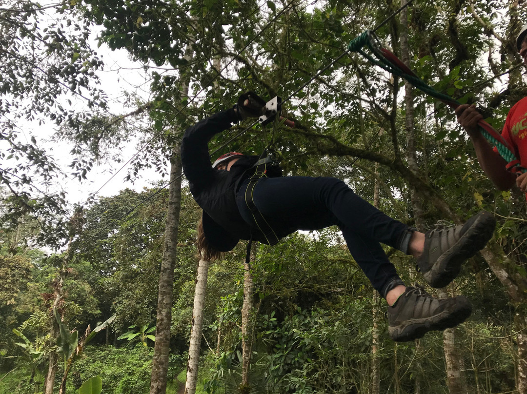 Tucanopy-Nanegalito必去景点