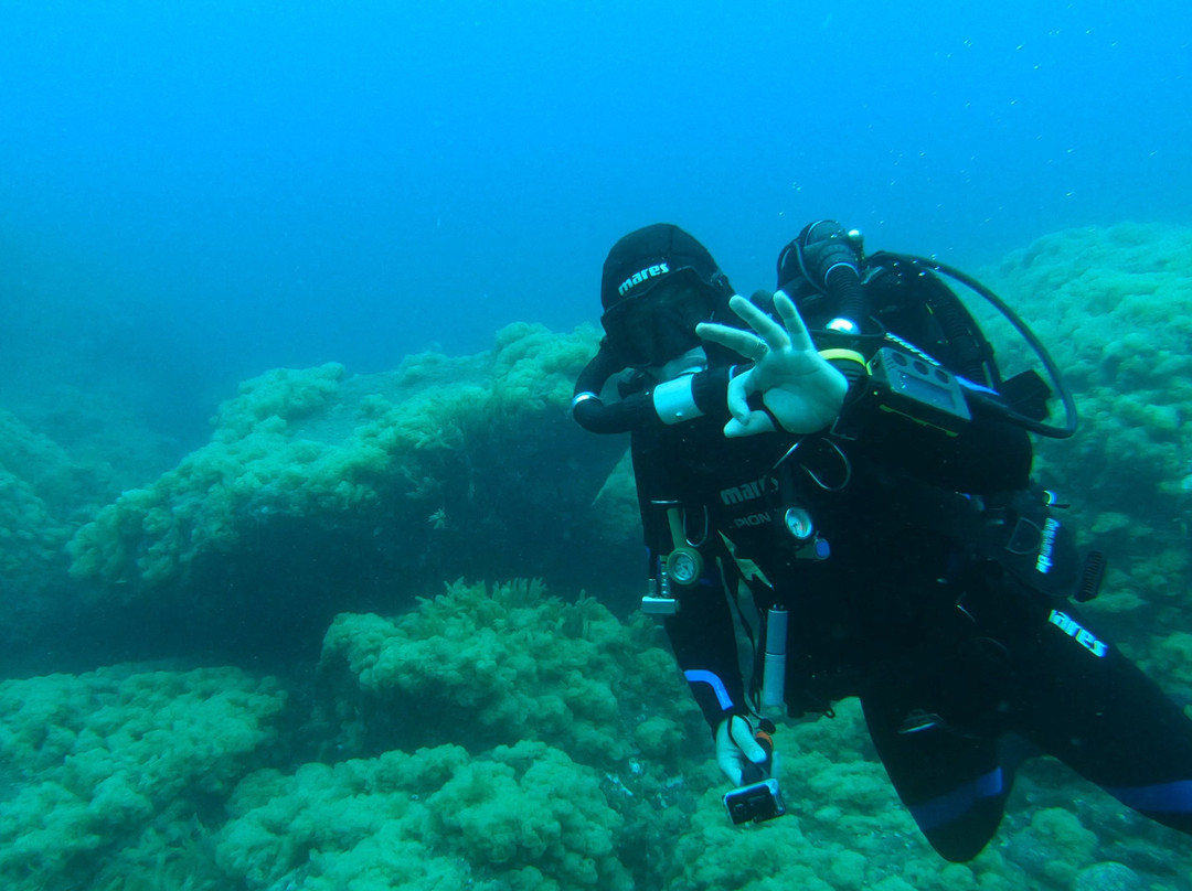 Twin peaks diving center-Pico必去景点