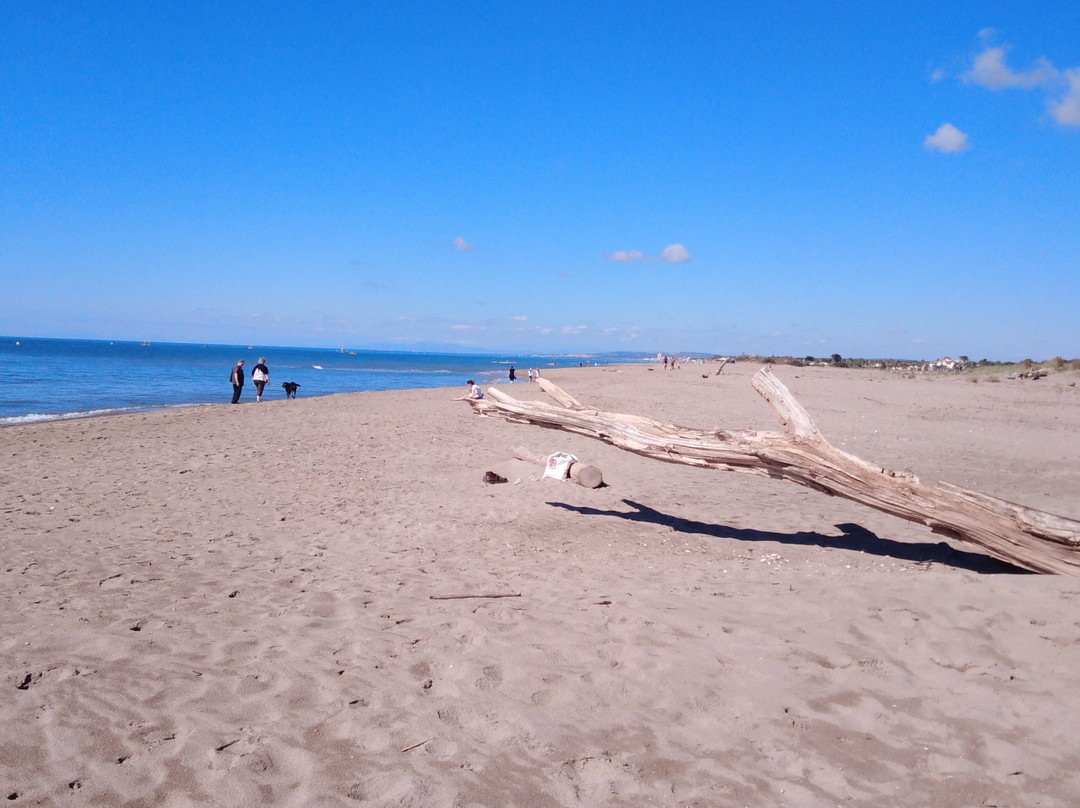 Plage La Redoute景点图片