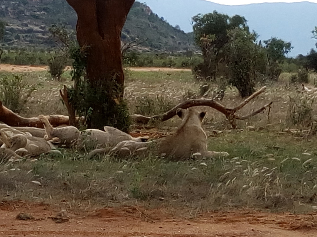 Jorim Tours And Safaris Day Tours-蒙巴萨必去景点