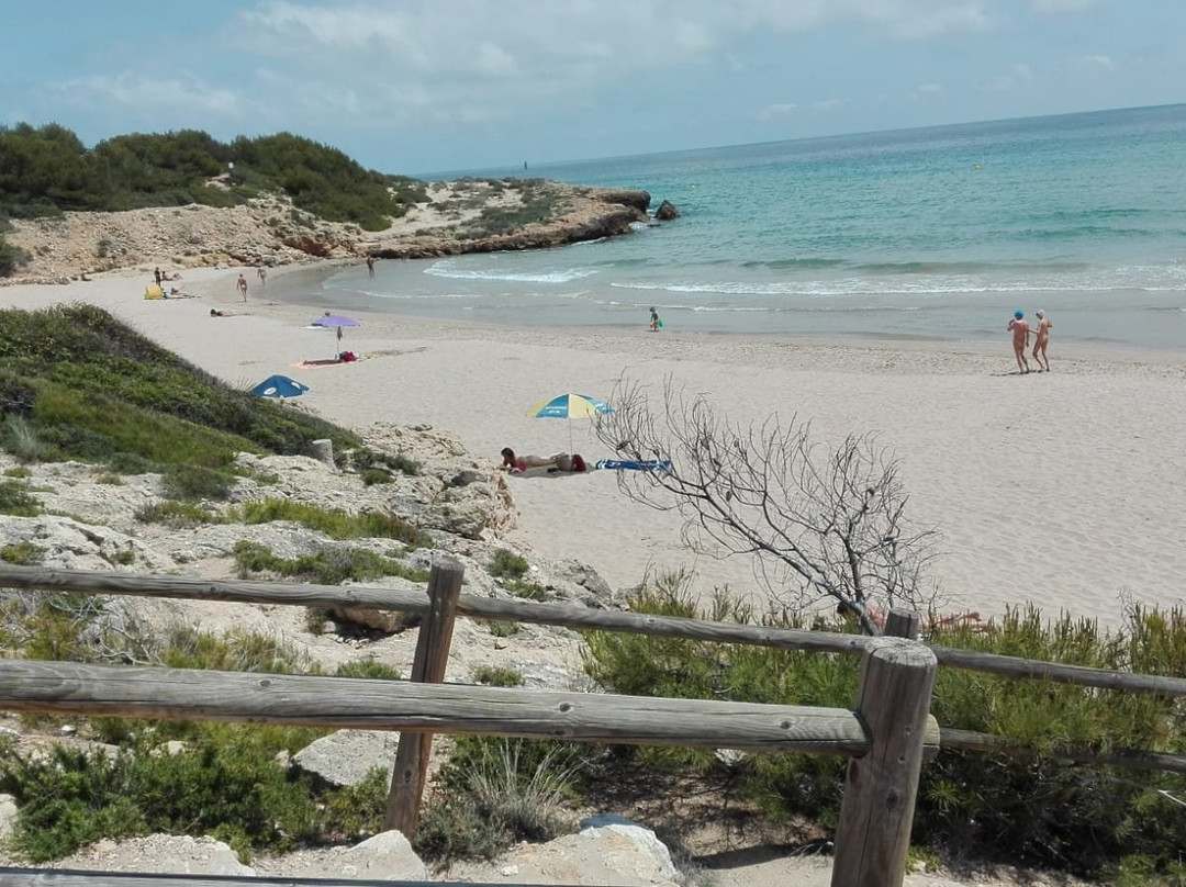Playa La Savinosa景点图片