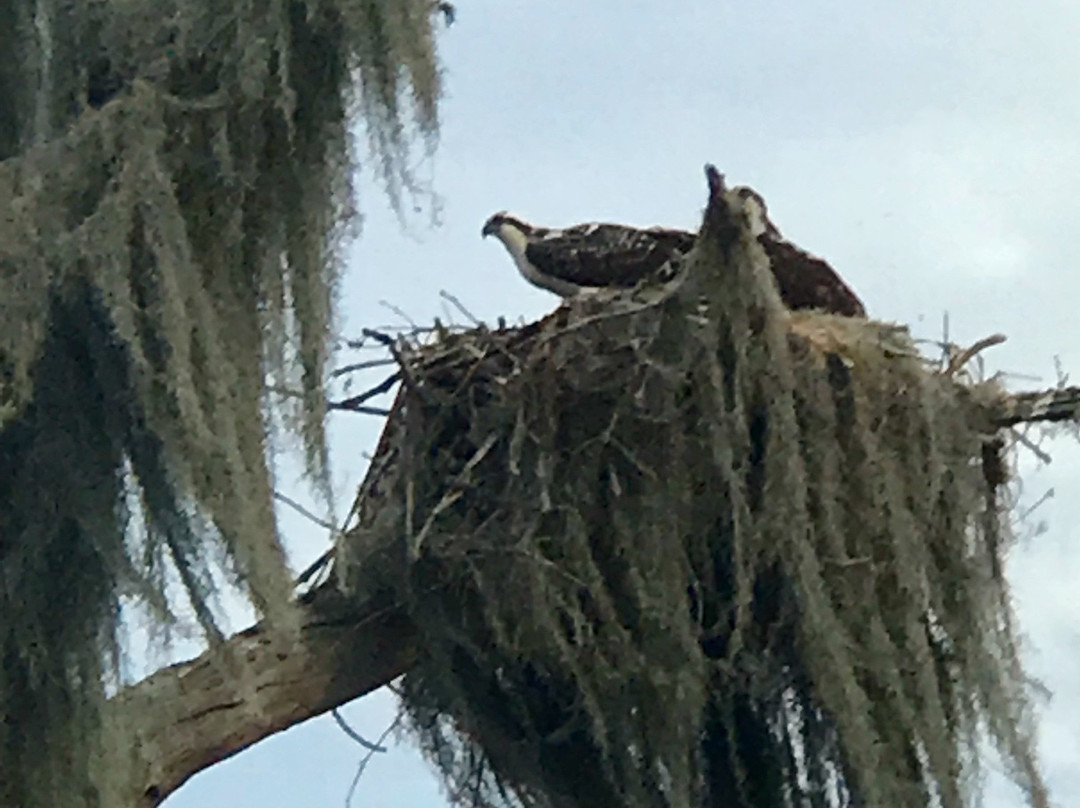 The Living Water Boat Cruises-温特黑文必去景点