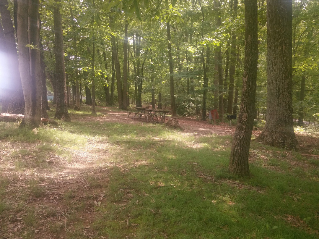 Piney Run Park景点图片