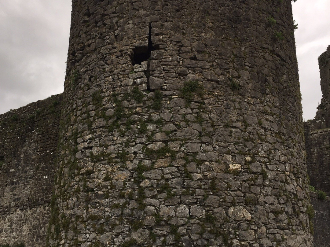 Liscarrol Castle景点图片