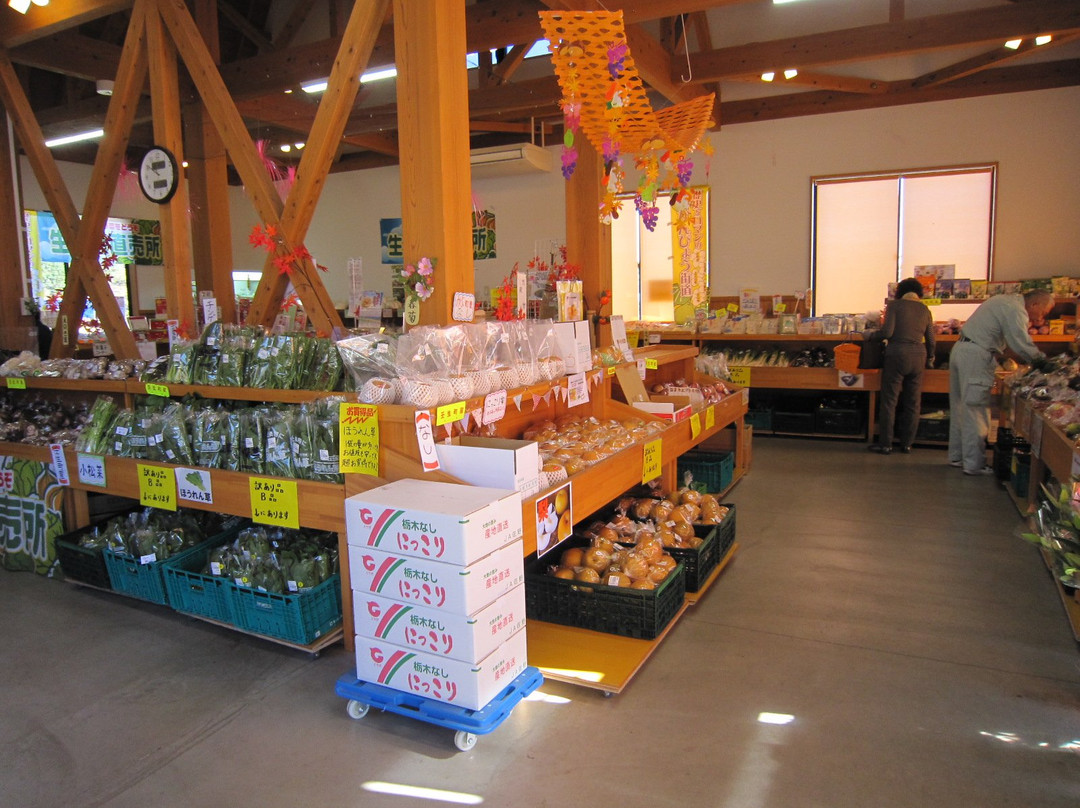 Mibu Parking Area Westbound and Eastbound-壬生町必去景点