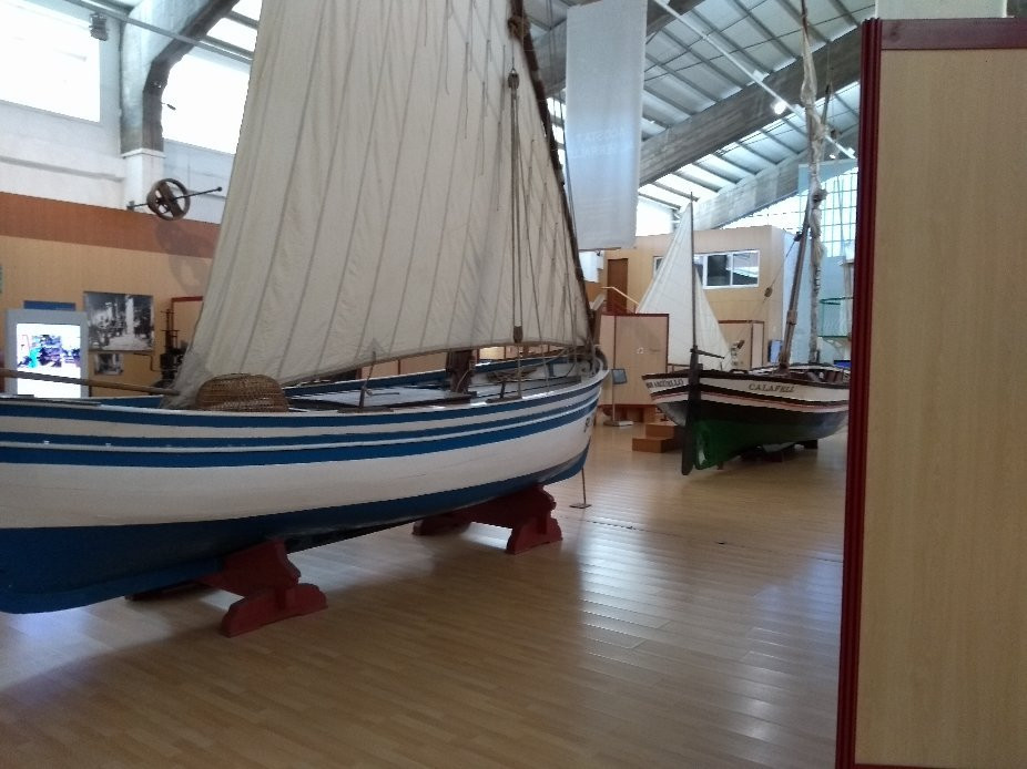 Museu del Port-塔拉戈纳必去景点