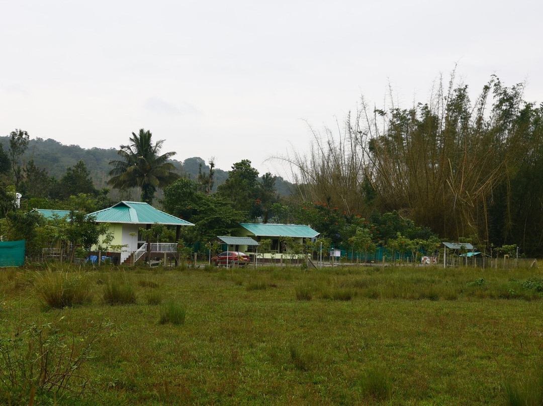 Deer Meadows