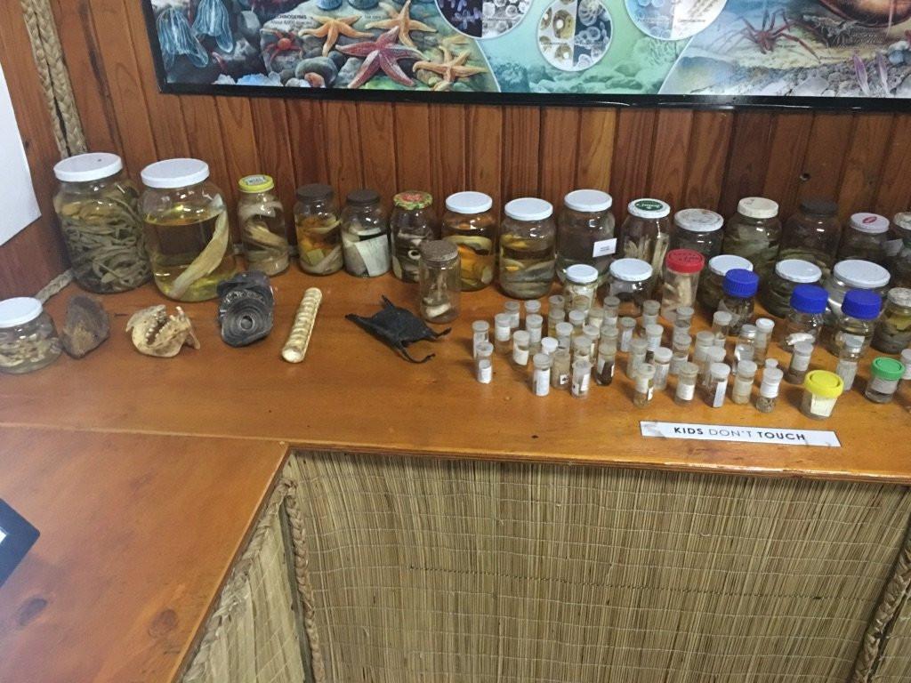 Sharklife-Shazibe必去景点