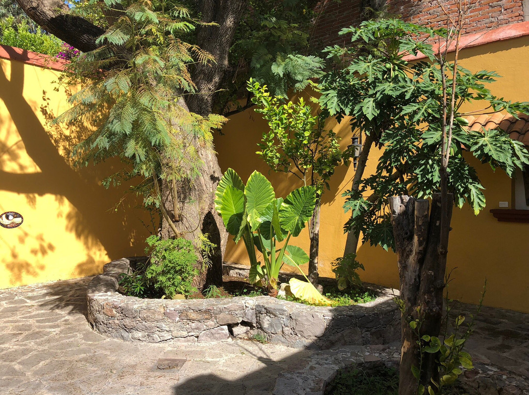 Casa Museo Jose Alfredo Jimenez景点图片