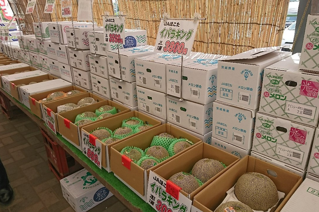Michi no Eki Kurimo and Benikomachi no Sato景点图片
