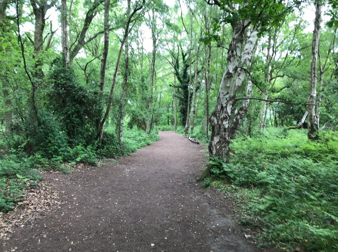 Crackley Wood Nature Reserve景点图片