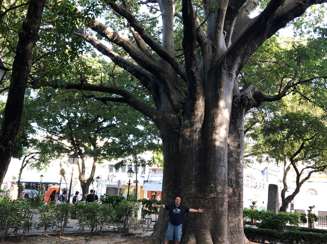 Passeio Público-福塔莱萨必去景点