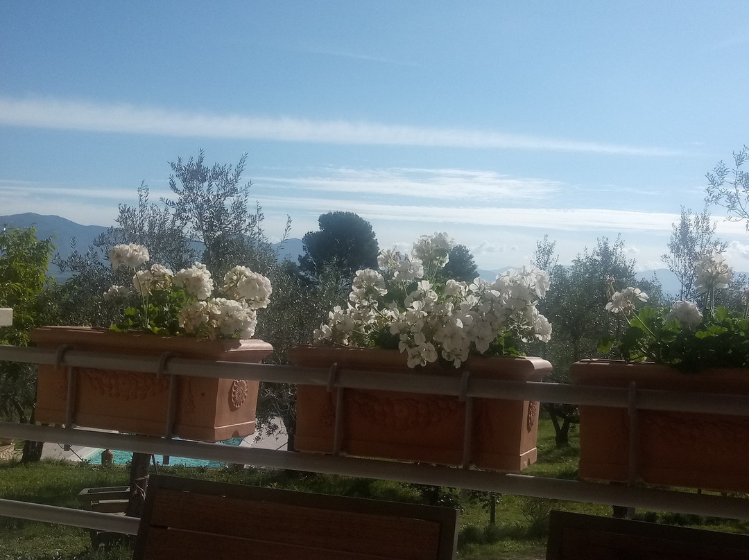 B&B I Melograni主图